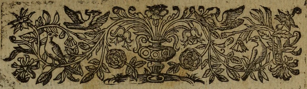 An illustration from A Christian turn'd Turke: or, The tragicall liues and deaths of the two famous pyrates, Ward and Dansiker : as it hath beene publickly acted, 1612, leaf 12