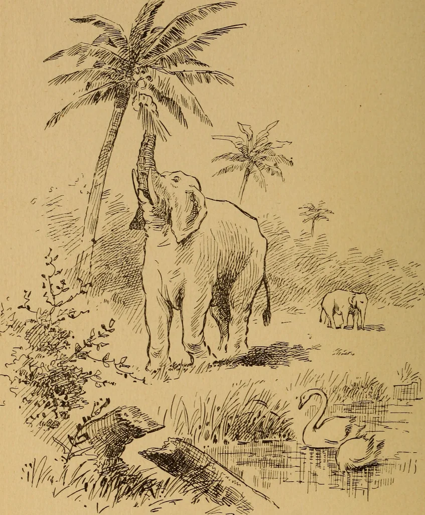 An illustration from Christolution with its evolution illustrations, 1894, leaf 25