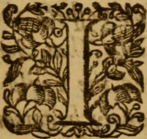 An illustration from Christ on his throne, or, Christ's church government briefly laid down, and how it ought to bee set up in all Christian congregations : resolved in sundry cases of conscience, 1640, leaf 4