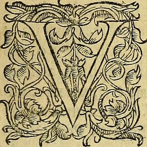 An illustration from Christophori Clavii Bambergensis ex Societate Jesu : in sphaeram Joannis de Sacro Bosco commentarius, 1602, leaf 10