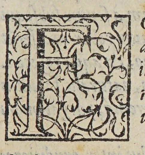 An illustration from Christophori a Costa, medici et cheirurgi Aromatum & medicamentorum in Orientali Jndia nascentium liber : plurimum lucis adferens iis quae à Doctore Garcia de Orta in hoc genere scripta sunt., 1582, leaf 13