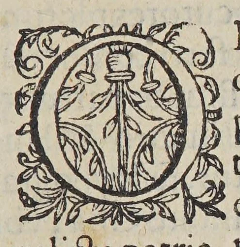 An illustration from Christophori a Costa, medici et cheirurgi Aromatum & medicamentorum in Orientali Jndia nascentium liber : plurimum lucis adferens iis quae à Doctore Garcia de Orta in hoc genere scripta sunt., 1582, leaf 9