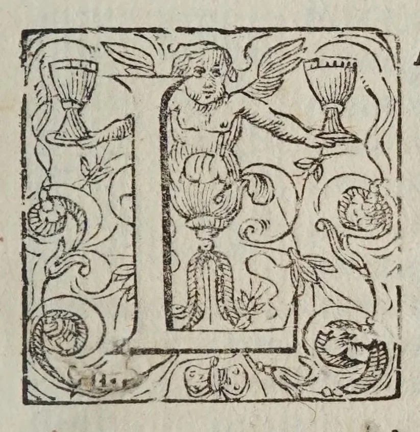 An illustration from Christophori Scheiner ... Pantographice, sev, Ars delineandi res qvaslibet per parallelogrammvm lineare sev cavvm, mechanicvm, mobile : libellis duobus explicata, & demonstrationibus geometricis illustrata: quorum prior epipedographicen, siue planorum, posterior stereographicen, seu solidorum aspectabilium viuam imitationem atque proiectionem edocet, 1631, leaf 17