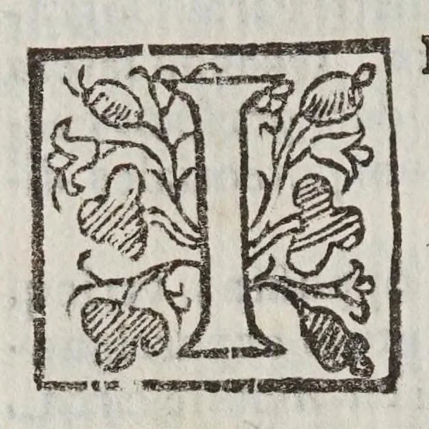 An illustration from Christophori Scheiner ... Pantographice, sev, Ars delineandi res qvaslibet per parallelogrammvm lineare sev cavvm, mechanicvm, mobile : libellis duobus explicata, & demonstrationibus geometricis illustrata: quorum prior epipedographicen, siue planorum, posterior stereographicen, seu solidorum aspectabilium viuam imitationem atque proiectionem edocet, 1631, leaf 66
