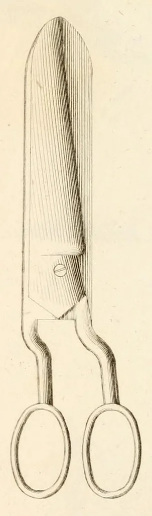 An illustration from Chromagraphie, ou, L'art de composer un dessin : à l'aide de lignes et de figures géométriques, et de l'imiter avec des matières colorées ..., 1839, leaf 81