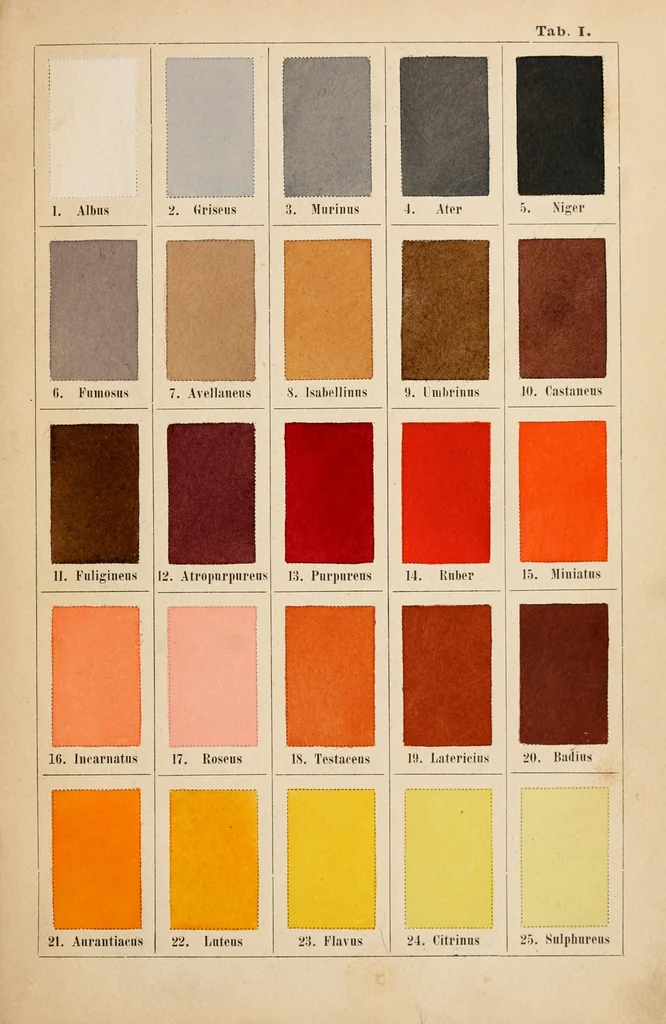 An illustration from Chromotaxia seu Nomenclator colorum polyglottus additis speciminibus coloratis ad usum botanicorum et zoologorum, 1894, leaf 27