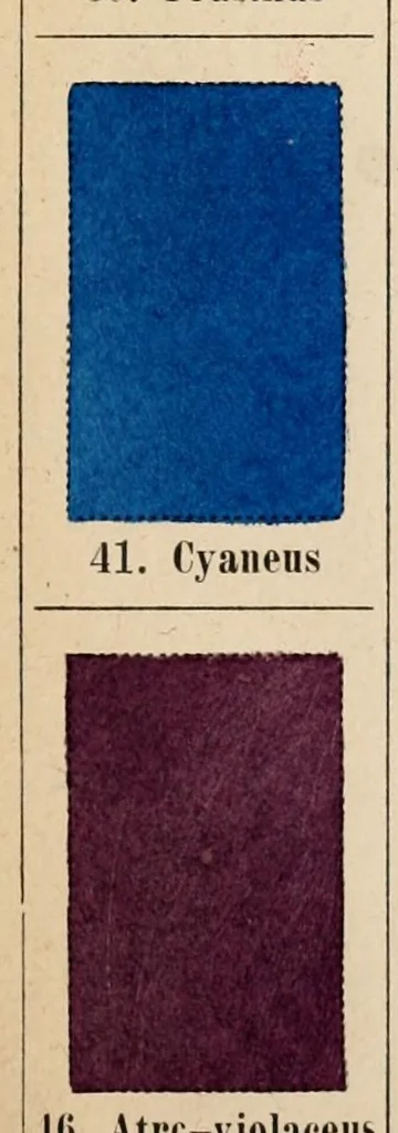 An illustration from Chromotaxia seu Nomenclator colorum polyglottus additis speciminibus coloratis ad usum botanicorum et zoologorum, 1894, leaf 29