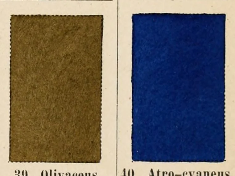 An illustration from Chromotaxia seu Nomenclator colorum polyglottus additis speciminibus coloratis ad usum botanicorum et zoologorum, 1894, leaf 29