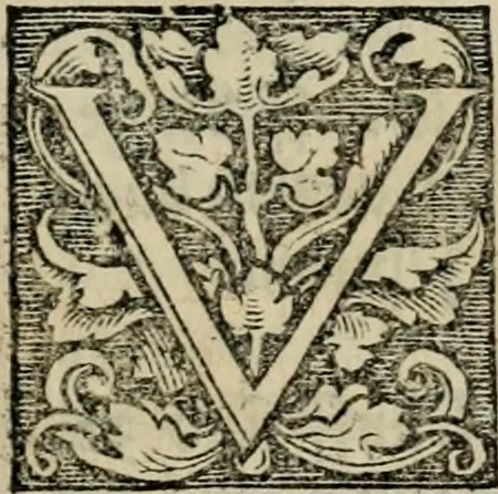 An illustration from Chronica, 1532, leaf 102