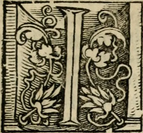 An illustration from Chronica, 1532, leaf 120