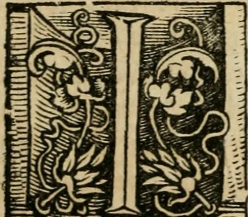 An illustration from Chronica, 1532, leaf 151
