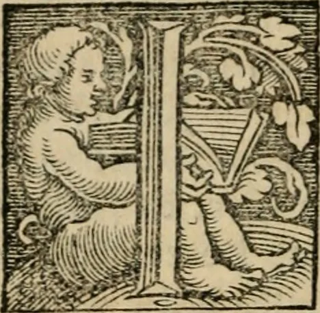 An illustration from Chronica, 1532, leaf 153