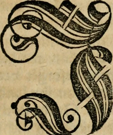 An illustration from Chronica, 1532, leaf 154