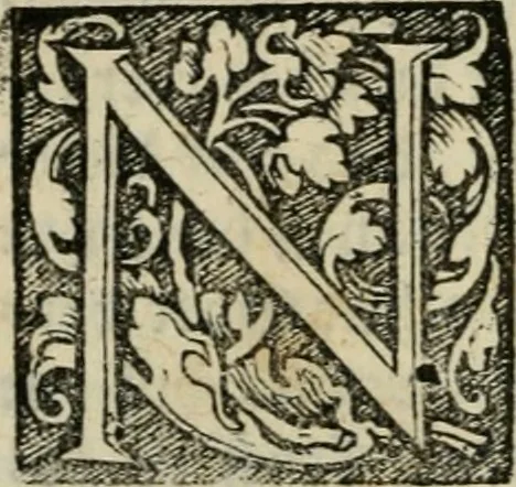 An illustration from Chronica, 1532, leaf 165