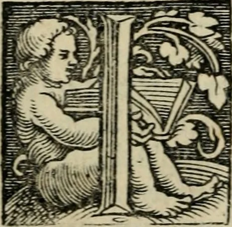 An illustration from Chronica, 1532, leaf 167