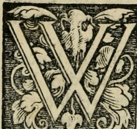 An illustration from Chronica, 1532, leaf 169