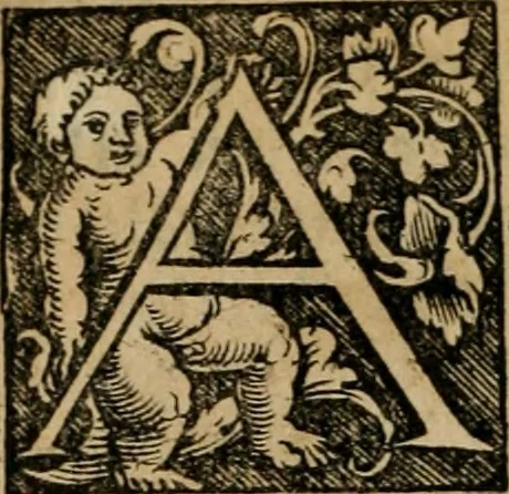 An illustration from Chronica, 1532, leaf 21