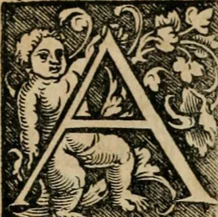 An illustration from Chronica, 1532, leaf 23