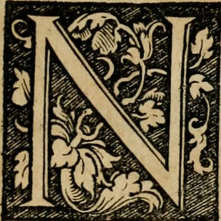 An illustration from Chronica, 1532, leaf 24