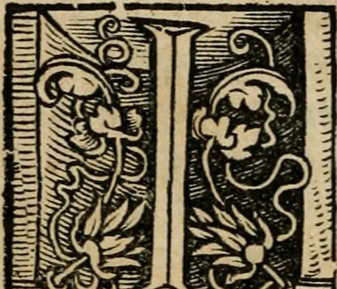 An illustration from Chronica, 1532, leaf 27