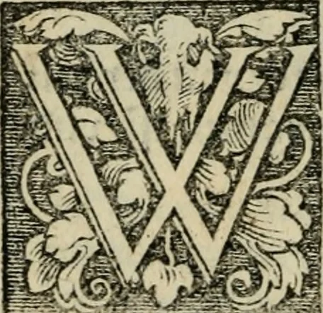 An illustration from Chronica, 1532, leaf 41