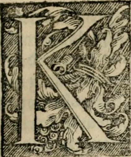An illustration from Chronica, 1532, leaf 56