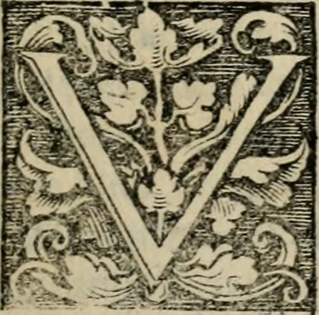 An illustration from Chronica, 1532, leaf 56
