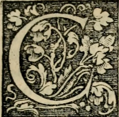 An illustration from Chronica, 1532, leaf 72