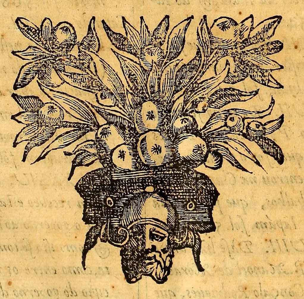 An illustration from Chronica da Companhia de Iesu, na provincia de Portugal; : e do que fizeram, nas conquistas d'este reyno, os religiosos, que na mesma provincia entràram, nos annos em que viveo S. Ignacio de Loyola, nosso fundador., 1645, leaf 662