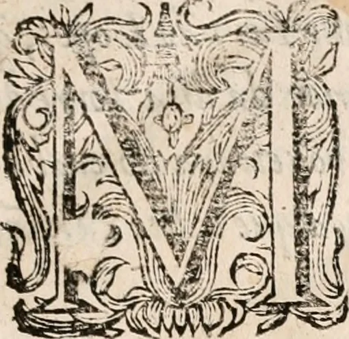 An illustration from Chronica de el rey Dom Afonso o qvarto do nome, : e settimo dos reys de Portvgal., 1653, leaf 8