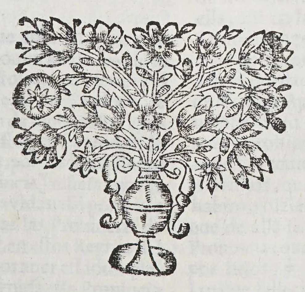 An illustration from Chronica de la Prouincia de S. Antonio de los Charcas del Orden de n[uest]ro seraphico P.S. Francisco en las Indias Occidentales reyno del Peru, 1665, leaf 181