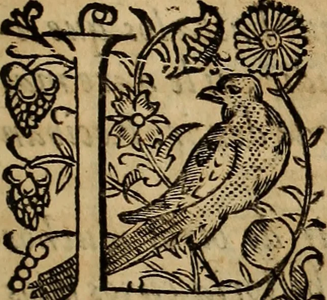 An illustration from Chronica del inclito Emperador de España, Don Alonso VII : deste nombre Rey de Castilla y Leon ... Sacada de vn libro mvy antigvo escrito de mano con letras de los Godos, por relacion de los mismos que lo vieron, y de muchas escrituras y priuilegios originales del mesmo Emperador, y otros, 1600, leaf 212