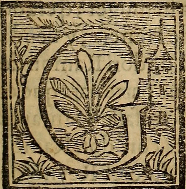 An illustration from Chronica del inclito Emperador de España, Don Alonso VII : deste nombre Rey de Castilla y Leon ... Sacada de vn libro mvy antigvo escrito de mano con letras de los Godos, por relacion de los mismos que lo vieron, y de muchas escrituras y priuilegios originales del mesmo Emperador, y otros, 1600, leaf 28