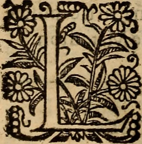 An illustration from Chronica del inclito Emperador de España, Don Alonso VII : deste nombre Rey de Castilla y Leon ... Sacada de vn libro mvy antigvo escrito de mano con letras de los Godos, por relacion de los mismos que lo vieron, y de muchas escrituras y priuilegios originales del mesmo Emperador, y otros, 1600, leaf 311