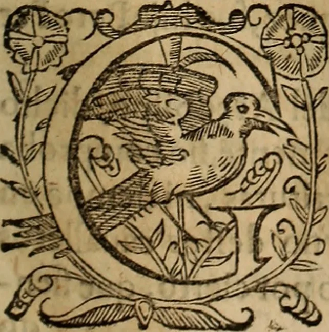 An illustration from Chronica del inclito Emperador de España, Don Alonso VII : deste nombre Rey de Castilla y Leon ... Sacada de vn libro mvy antigvo escrito de mano con letras de los Godos, por relacion de los mismos que lo vieron, y de muchas escrituras y priuilegios originales del mesmo Emperador, y otros, 1600, leaf 330