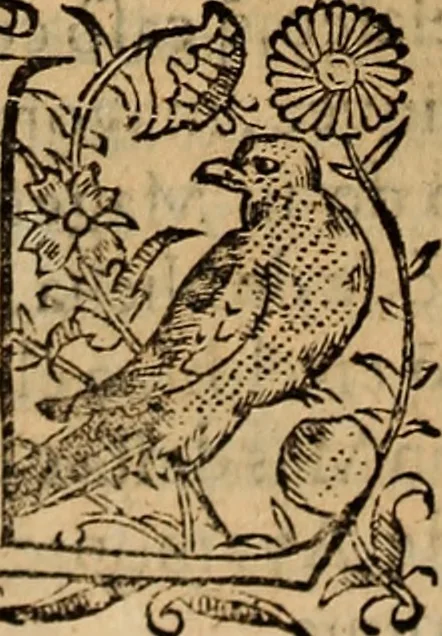 An illustration from Chronica del inclito Emperador de España, Don Alonso VII : deste nombre Rey de Castilla y Leon ... Sacada de vn libro mvy antigvo escrito de mano con letras de los Godos, por relacion de los mismos que lo vieron, y de muchas escrituras y priuilegios originales del mesmo Emperador, y otros, 1600, leaf 353