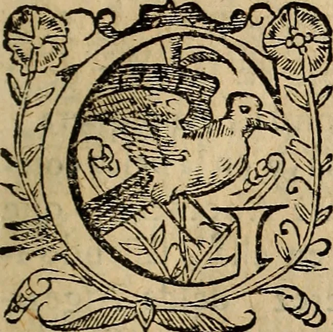 An illustration from Chronica del inclito Emperador de España, Don Alonso VII : deste nombre Rey de Castilla y Leon ... Sacada de vn libro mvy antigvo escrito de mano con letras de los Godos, por relacion de los mismos que lo vieron, y de muchas escrituras y priuilegios originales del mesmo Emperador, y otros, 1600, leaf 366