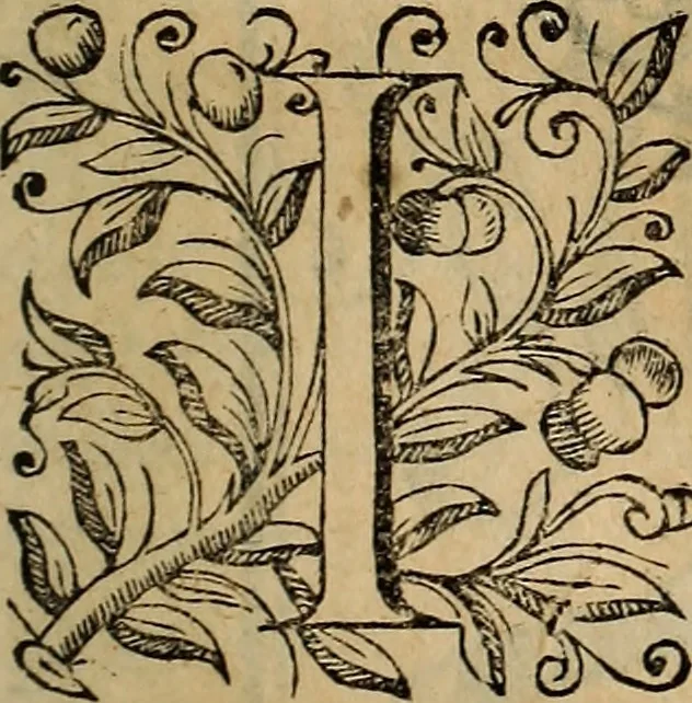 An illustration from Chronica del inclito Emperador de España, Don Alonso VII : deste nombre Rey de Castilla y Leon ... Sacada de vn libro mvy antigvo escrito de mano con letras de los Godos, por relacion de los mismos que lo vieron, y de muchas escrituras y priuilegios originales del mesmo Emperador, y otros, 1600, leaf 436