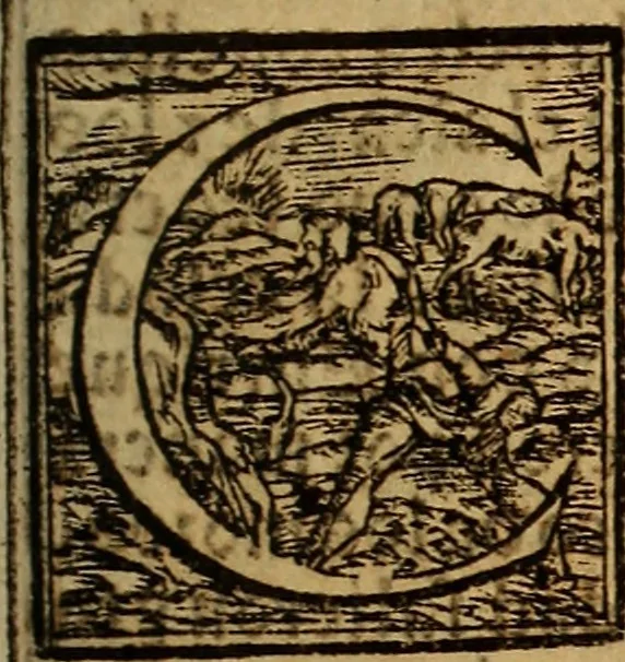 An illustration from Chronica del muy esclarecido Principe Rey don Alfonso el Onzeno deste nobre de los reyes que reynaron en Castilla y en Leon. Padre q fue del Rey don Pedro .., 1551, leaf 310