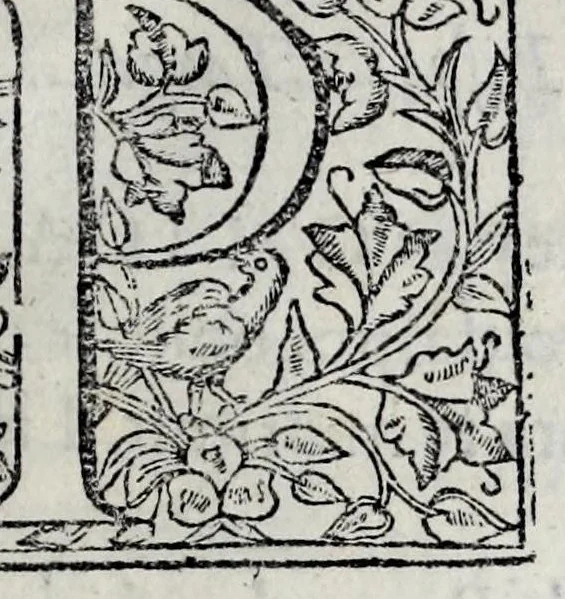 An illustration from Chronica del Rey D. Ioam I. de boa memoria, e dos reyes de Portugal o decimo : primeira[-terceira] parte : em que se contem a defensam do reyno atè ser eleito rey : offerecida a magestad del Rey Dom Ioam o IV. n. senhor de miraculosa memoria, 1644, leaf 9