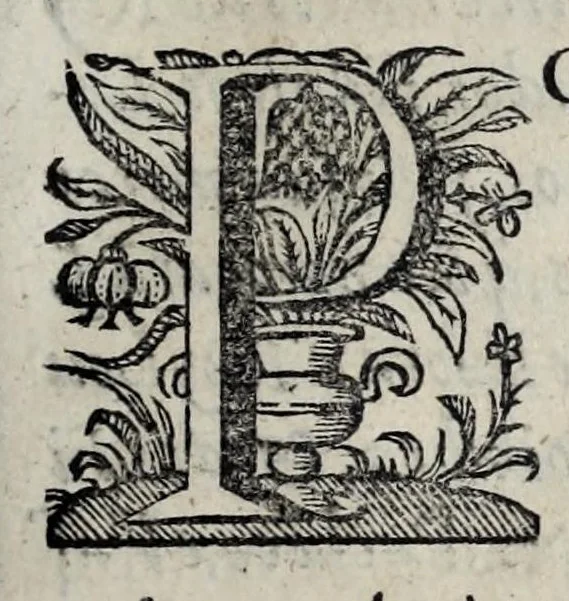 An illustration from Chronica del Rey D. Ioam I. de boa memoria, e dos reyes de Portugal o decimo : primeira[-terceira] parte : em que se contem a defensam do reyno atè ser eleito rey : offerecida a magestad del Rey Dom Ioam o IV. n. senhor de miraculosa memoria, 1644, leaf 15