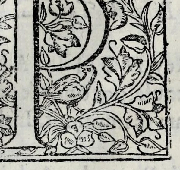 An illustration from Chronica del Rey D. Ioam I. de boa memoria, e dos reyes de Portugal o decimo : primeira[-terceira] parte : em que se contem a defensam do reyno atè ser eleito rey : offerecida a magestad del Rey Dom Ioam o IV. n. senhor de miraculosa memoria, 1644, leaf 9