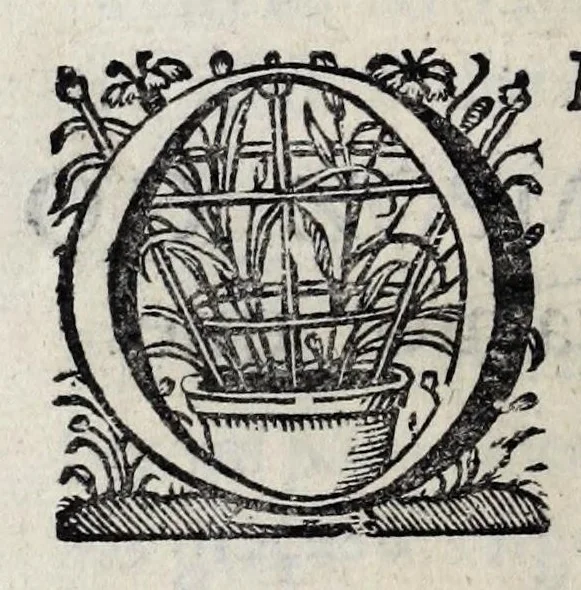 An illustration from Chronica del Rey D. Ioam I. de boa memoria, e dos reyes de Portugal o decimo : primeira[-terceira] parte : em que se contem a defensam do reyno atè ser eleito rey : offerecida a magestad del Rey Dom Ioam o IV. n. senhor de miraculosa memoria, 1644, leaf 334