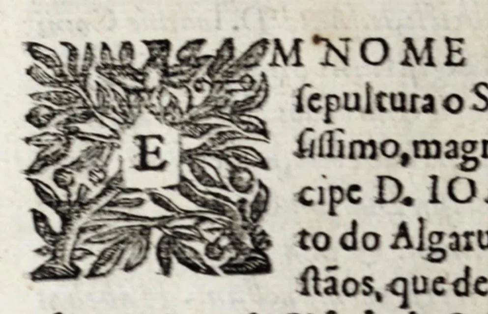 An illustration from Chronica del Rey D. Ioam I. de boa memoria, e dos reyes de Portugal o decimo : primeira[-terceira] parte : em que se contem a defensam do reyno atè ser eleito rey : offerecida a magestad del Rey Dom Ioam o IV. n. senhor de miraculosa memoria, 1644, leaf 348