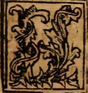 An illustration from Chronica del rey Don Rodrigo, con la destruycion de España, y como los moros la ganaron. Nueuam ante corregida. Contiene de mas de la historia muchas viuas razones, y auisos muy prouechosos, 1587, leaf 205