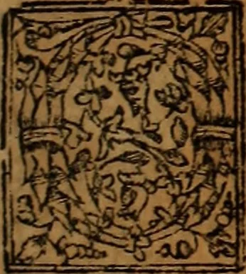 An illustration from Chronica del rey Don Rodrigo, con la destruycion de España, y como los moros la ganaron. Nueuam ante corregida. Contiene de mas de la historia muchas viuas razones, y auisos muy prouechosos, 1587, leaf 210