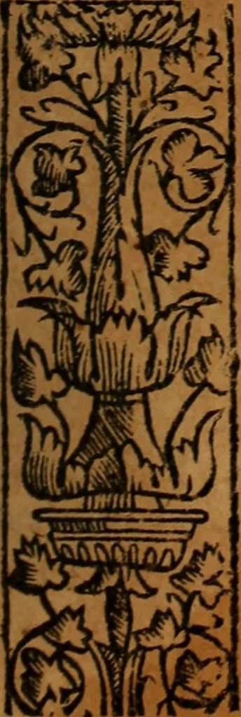 An illustration from Chronica del rey Don Rodrigo, con la destruycion de España, y como los moros la ganaron. Nueuam ante corregida. Contiene de mas de la historia muchas viuas razones, y auisos muy prouechosos, 1587, leaf 258