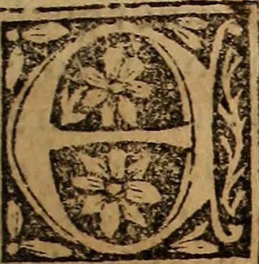 An illustration from Chronica del rey Don Rodrigo, con la destruycion de España, y como los moros la ganaron. Nueuam ante corregida. Contiene de mas de la historia muchas viuas razones, y auisos muy prouechosos, 1587, leaf 416