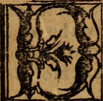 An illustration from Chronica del rey Don Rodrigo, con la destruycion de España, y como los moros la ganaron. Nueuam ante corregida. Contiene de mas de la historia muchas viuas razones, y auisos muy prouechosos, 1587, leaf 416