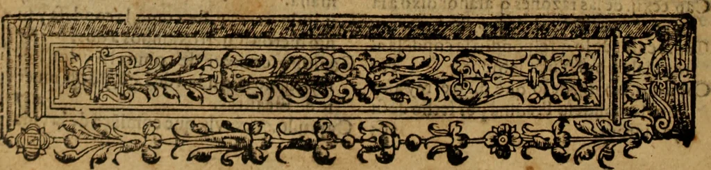 An illustration from Chronica del rey Don Rodrigo, con la destruycion de España, y como los moros la ganaron. Nueuam ante corregida. Contiene de mas de la historia muchas viuas razones, y auisos muy prouechosos, 1587, leaf 451